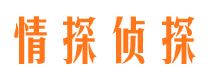 陆川侦探公司